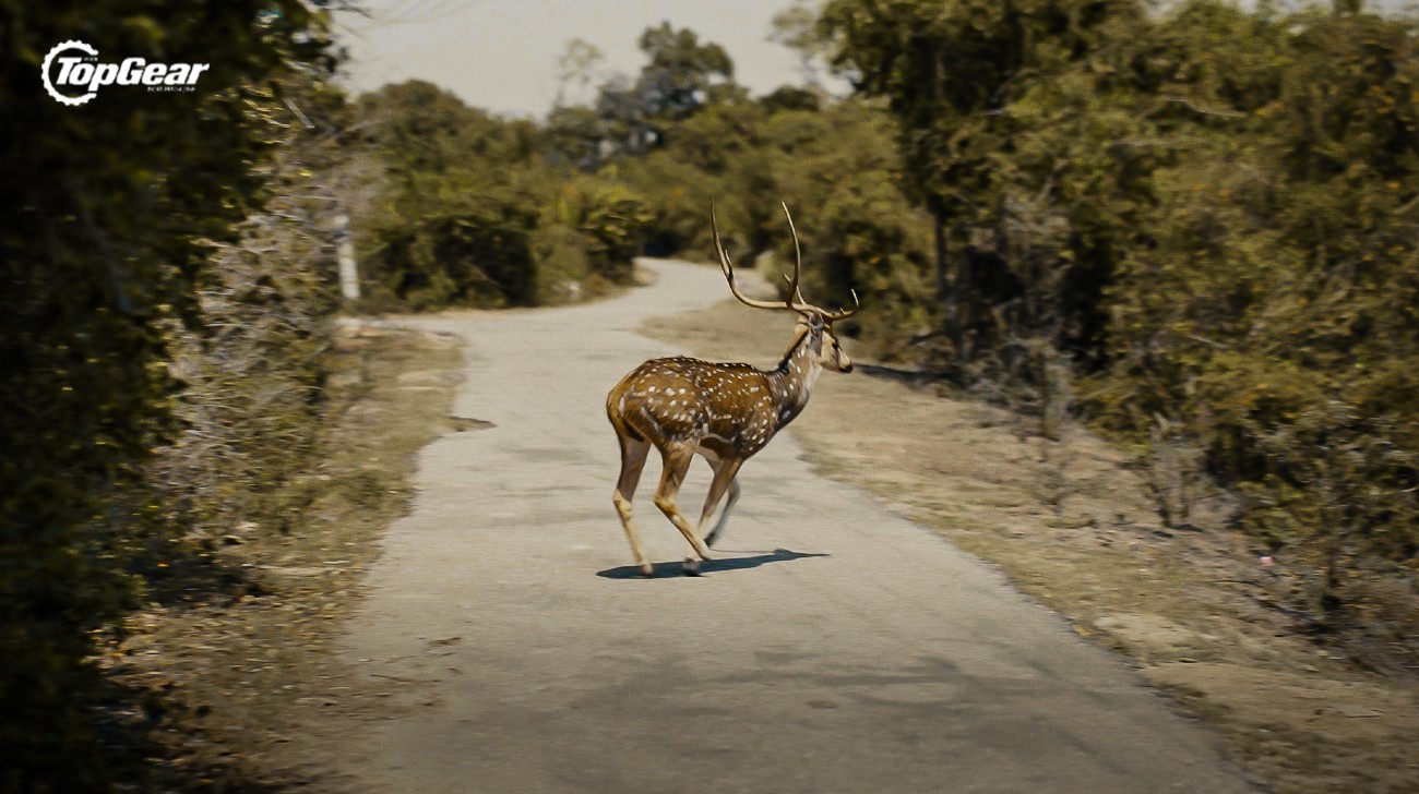 Features Intothewild-ep2-04jpg