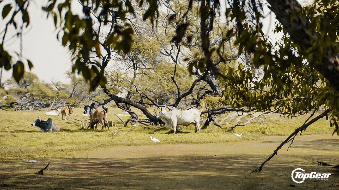 Features Intothewild-ep2-07jpg