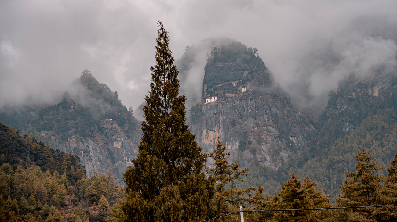 Features Untitled158jpg