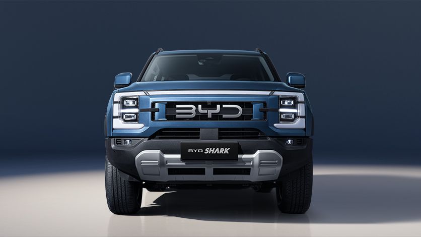 Byd Sharkjpeg