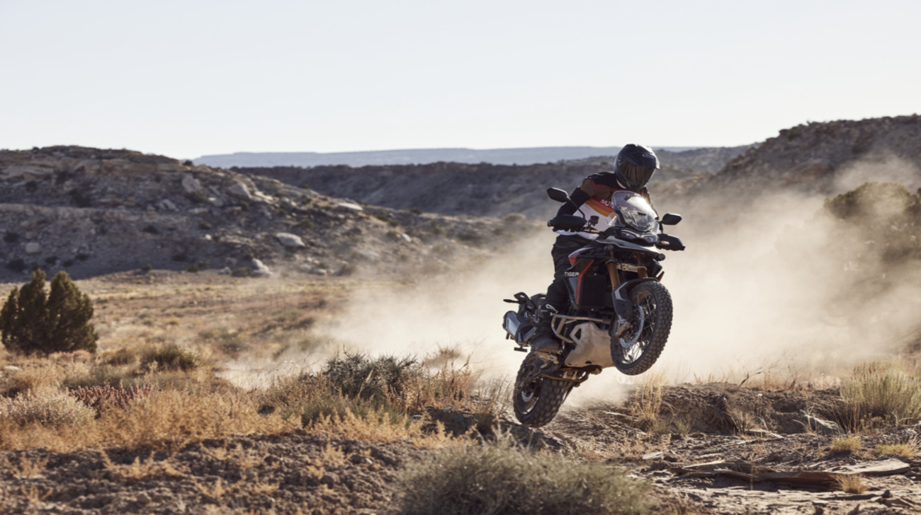 Tiger-900 Rally-pro My24 14443 Jp 1jpg